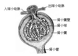 W(xu)֪R(sh)čW(xu)((j)ЌW(xu))ԇV