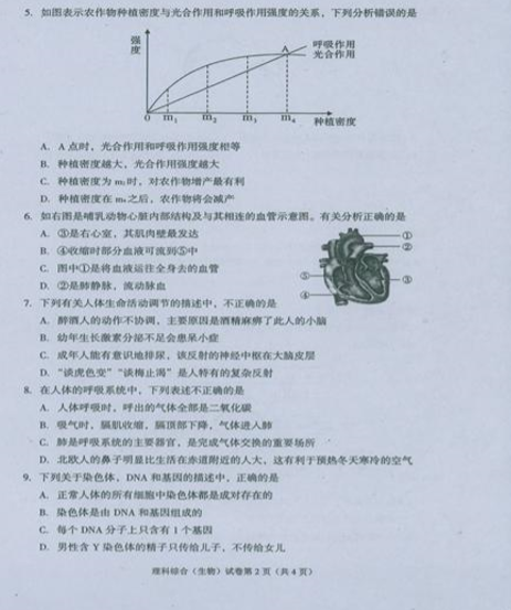 2019쌎пCﲿ}2