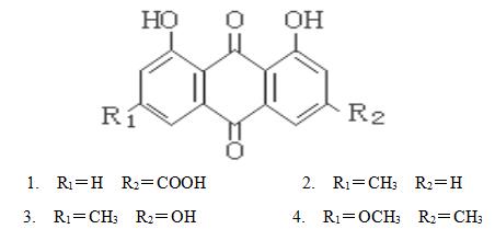 ԿȻˎﻯW(xu)¹(ji)(x)}3